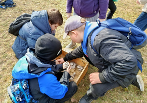Chłopcy oglądają tropy zwierząt.