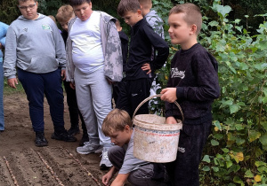 Chłopcy sadzą w ziemi żołędzie.