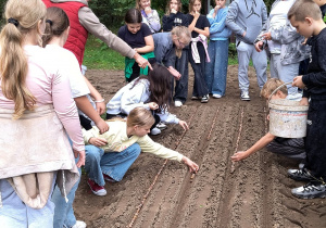 Uczniowie sadzą żołędzie.