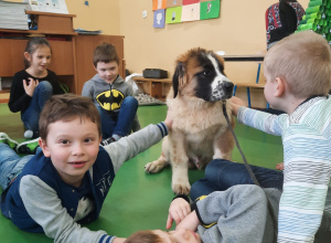 Zajęcia z dogoterapii w grupie przedszkolnej