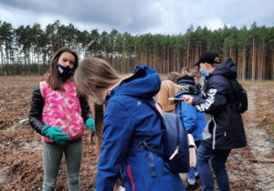 Uczniowie klas siódmych sadzą las.