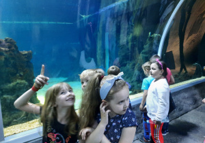 Dziewczynki podziwiają zwierzęta morskie