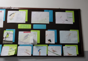 Ptaki- prace uczniów klasy VIb
