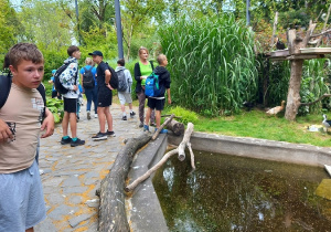 Uczniowie spacerują po zoo