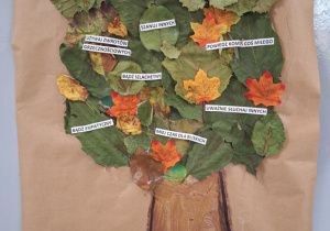 Drzewo dobrych relacji klasy Va