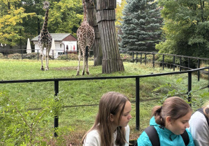 Dziewczynki przy wybiegu żyraf